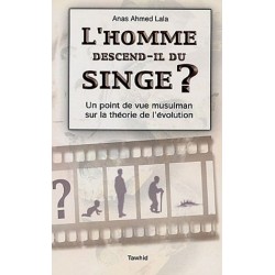 L'homme descend-il du singe...