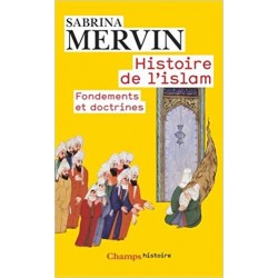 Histoire de l'Islam :...