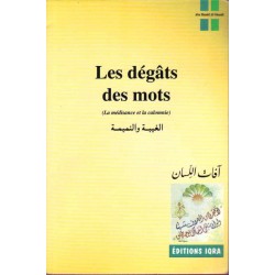 Les dégâts des mots. La...