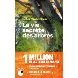 La vie secrète des arbres